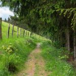 verlaeuft-rothaarsteig