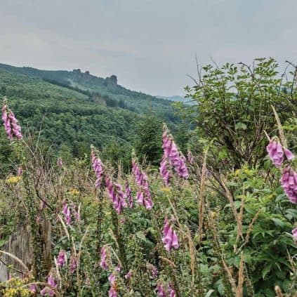 versteckte-juwelen-7-wanderpfade-rothaarsteigs