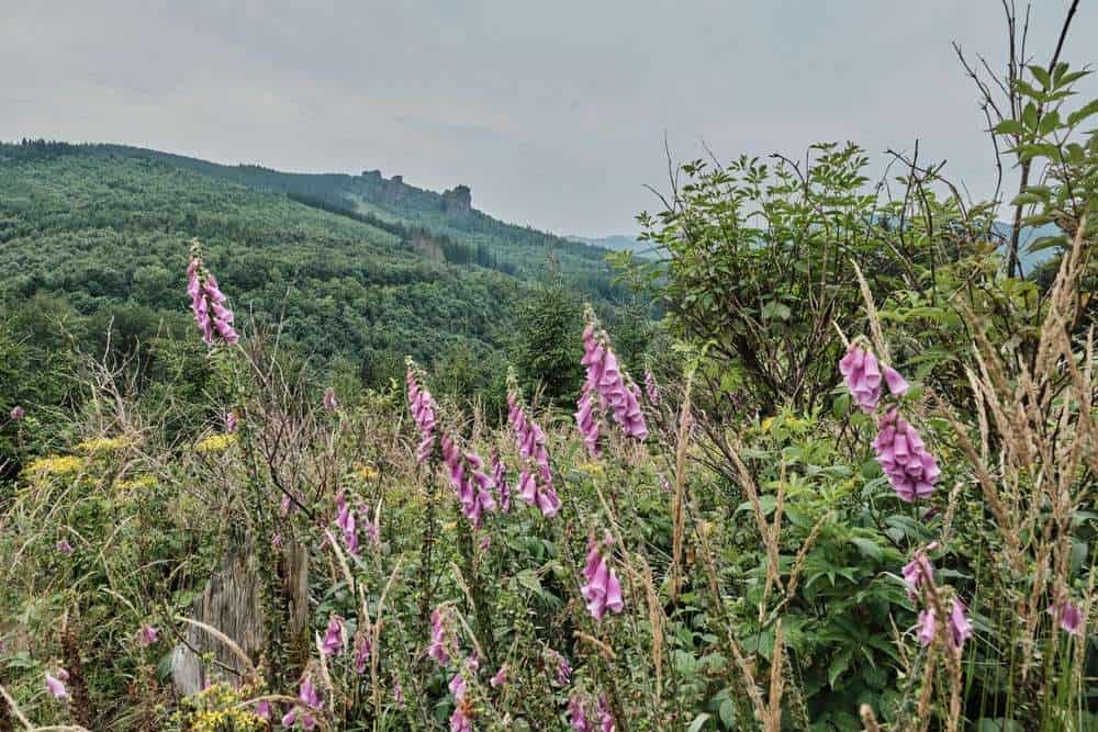 versteckte-juwelen-7-wanderpfade-rothaarsteigs